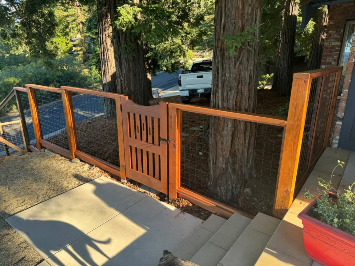Redwood frame hog-wire fence with matching picket pedestrian gate between redwood trees